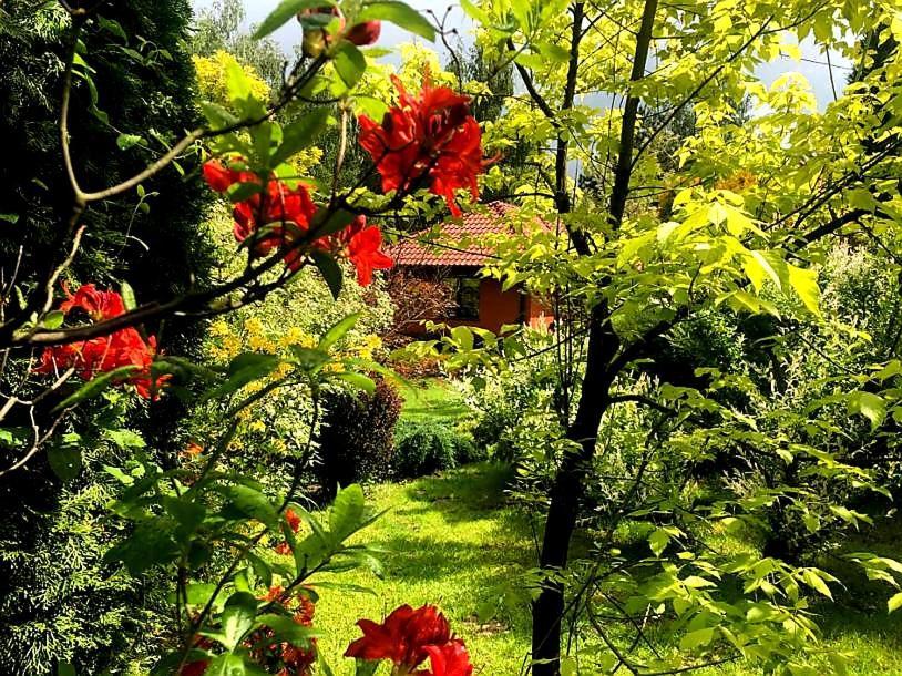 Secret Garden Residence Paszkowka Exterior photo